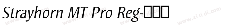 Strayhorn MT Pro Reg字体转换